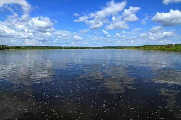 Mitten Nilen Uganda Sett Från Flod Kryssning Båt Murchison Falls — Stockfoto