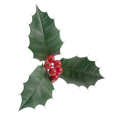 Beyaz arka plan üzerinde izole kırmızı meyveler 3d render ile Holly bırakır