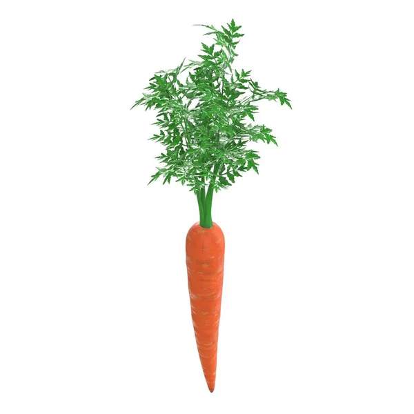 Zanahoria Roja Con Tapas Verdes Renderizado Aislado Sobre Fondo Blanco — Foto de Stock