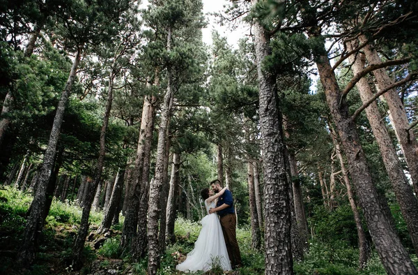 Net Getrouwd Paar Poseren Buitenshuis Hun Bruiloft Foto Sessie — Stockfoto