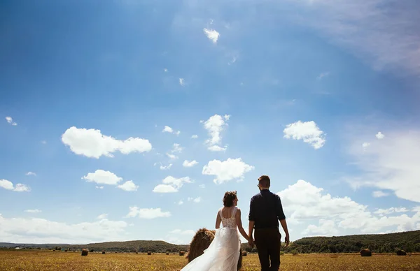 Apenas Casal Posando Livre Sua Foto Casamento Sessão — Fotografia de Stock