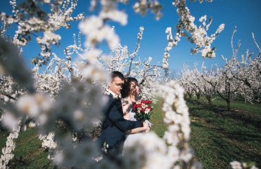sevgi dolu çift - gelin ve damat düğün yürüyüşe çiçekli bahçeleri bahar, ihale duygular içinde hafif bir elbise