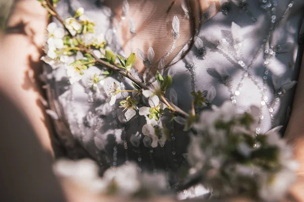 Närbild Blommande Gren — Stockfoto