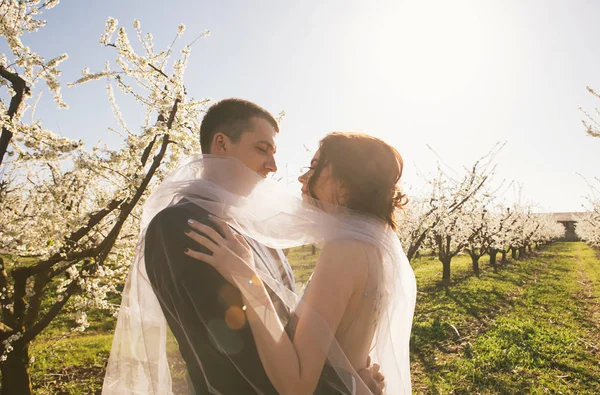 愛するカップル 優しい感情で開花庭園で結婚式の散歩に光のドレスの新郎新婦 — ストック写真