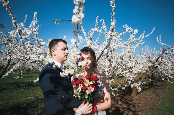 Miłości Para Pary Młodej Lekkie Sukienki Wesele Spacer Ogrodach Kwiatowych — Zdjęcie stockowe