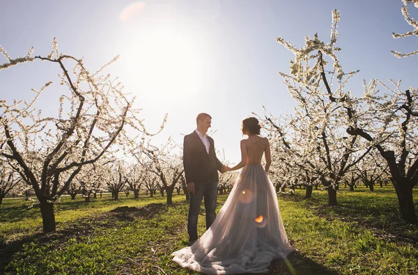 Älskande Par Bruden Och Brudgummen Ljus Klänning Ett Bröllop Promenad — Stockfoto