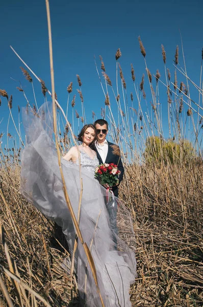 Foto Livre Sessão Recém Casados — Fotografia de Stock