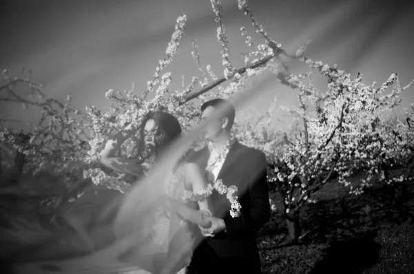 有爱心的夫妇 新娘和新郎穿着一件轻盈的礼服在婚礼上走在开花的花园在春天 温柔的情绪 — 图库照片