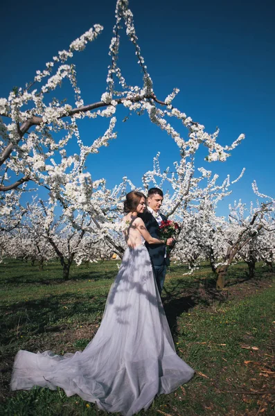 愛するカップル 優しい感情で開花庭園で結婚式の散歩に光のドレスの新郎新婦 — ストック写真