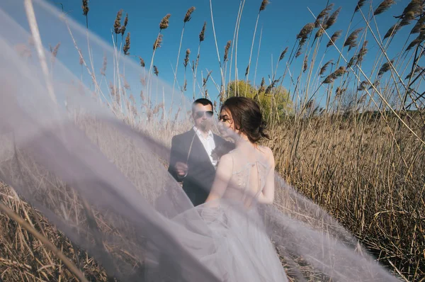 Foto Livre Sessão Recém Casados — Fotografia de Stock