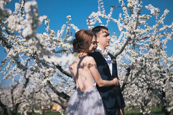 Par Carinho Noiva Noivo Vestido Leve Passeio Casamento Nos Jardins — Fotografia de Stock