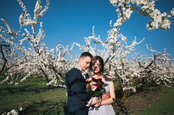 부드러운 감정에 정원에서 결혼식 산책에 드레스를 신랑과 — 스톡 사진