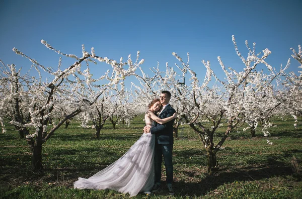 Foto Livre Sessão Recém Casados — Fotografia de Stock