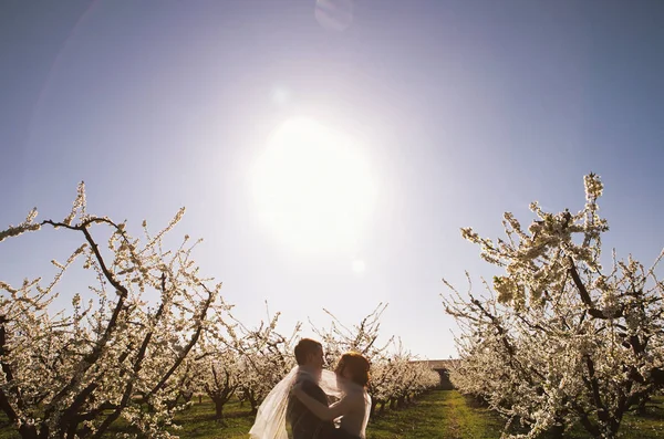 Par Carinho Noiva Noivo Vestido Leve Passeio Casamento Nos Jardins — Fotografia de Stock