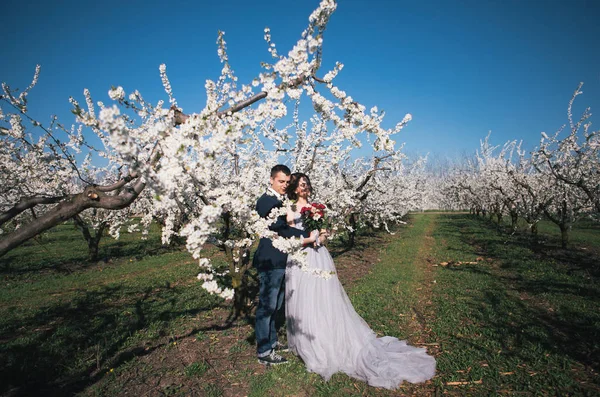 Pareja Amorosa Novia Novio Vestido Luz Paseo Bodas Los Jardines —  Fotos de Stock