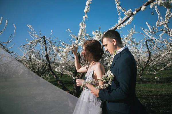 Loving Couple Bride Groom Light Dress Wedding Walk Flowering Gardens Stock Picture