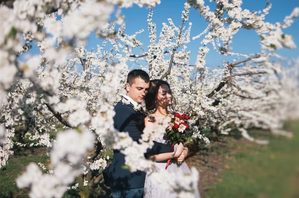 Loving Couple Bride Groom Light Dress Wedding Walk Flowering Gardens Royalty Free Stock Photos