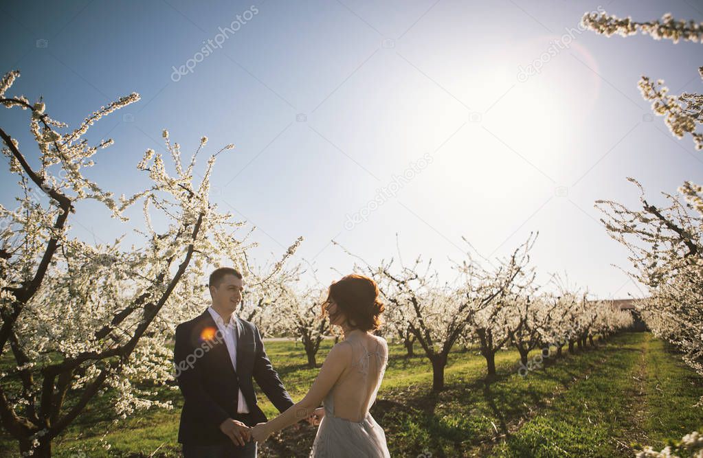 loving couple - the bride and groom in a light dress on a wedding walk in the flowering gardens in the spring, tender emotions