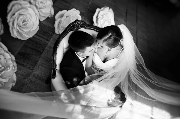Стильная Невеста Жених Свадебной Фотосессии Студии Влюбленная Пара Смеется Обнимается — стоковое фото
