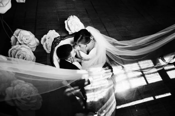 Mariée Élégante Marié Lors Une Séance Photo Mariage Dans Studio — Photo