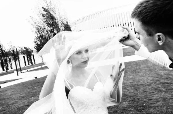 Mariée Élégante Marié Sur Une Promenade Dans Leur Jour Mariage — Photo