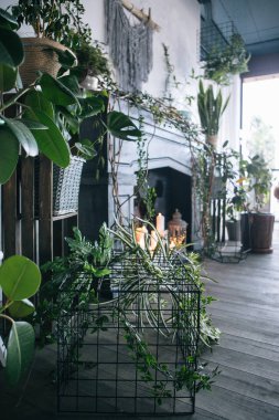 yaratıcı dekor ve tasarım bir çatı, yeşil bitki ve metal kafes için