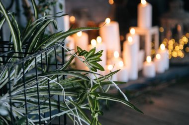 yaratıcı dekor ve tasarım çatı, mumlar ve bitki için