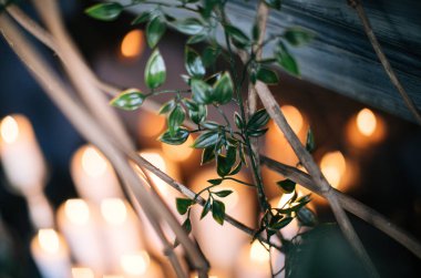 yaratıcı dekor ve tasarım bir çatı, gri şömine, mumlar, antika koltuk ve bitkiler için