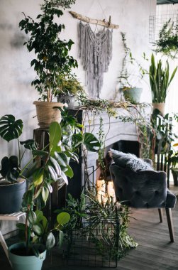 yaratıcı dekor ve tasarım bir çatı, gri şömine, mumlar, antika koltuk ve bitkiler için