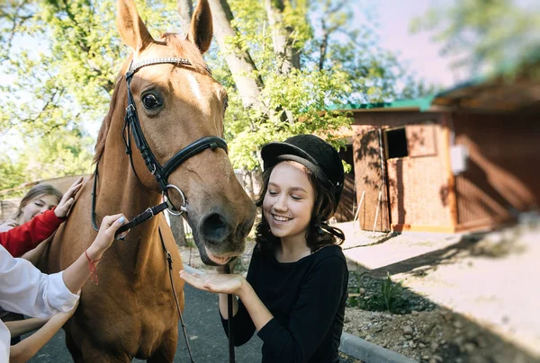 世界婦人デーの写真に赤馬のかわいい十代の少女 — ストック写真