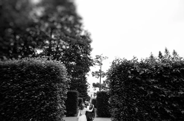 Stylová Nevěsta Ženich Den Svatebních Objetí Usmívající Jarním Parku Černobílé — Stock fotografie