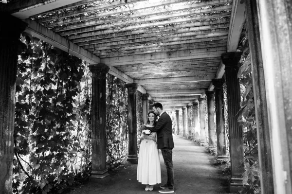 Elegante Novia Novio Día Boda Divertirse Sonreír Paseo Foto Blanco —  Fotos de Stock