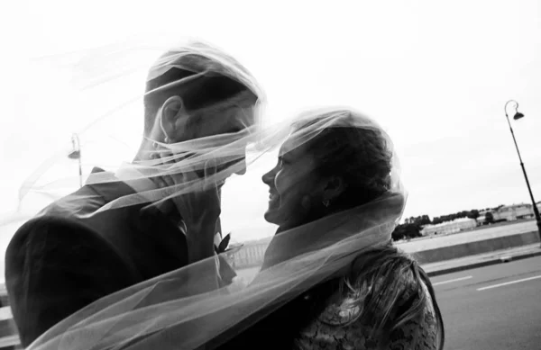 Stilvoller Bräutigam Und Braut Brautschleier Hochzeitstag Sich Umarmend Und Zärtlich — Stockfoto