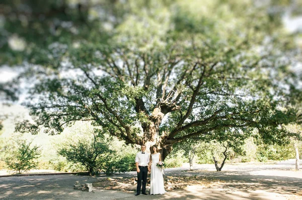 Joyeux Jeune Marié Jeune Mariée — Photo