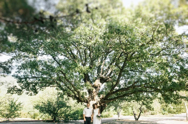 Feliz Joven Novia Novio Paseo Parque —  Fotos de Stock