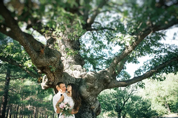 公園の散歩に幸せな若い花嫁と新郎 — ストック写真