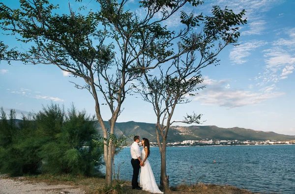 Joyeux Jeune Marié Jeune Mariée Lors Une Promenade Près Mer — Photo