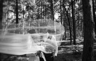 aşık şık ve ihale çift - gelin ve damat - ormanda bir yürüyüş onların düğün günü, gülerek ve sarılma