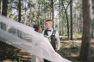 aşık şık ve ihale çift - gelin ve damat - ormanda bir yürüyüş onların düğün günü, gülerek ve sarılma