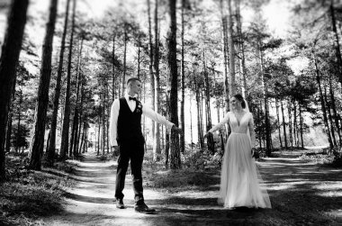 aşık şık ve ihale çift - gelin ve damat - ormanda bir yürüyüş onların düğün günü, gülerek ve sarılma