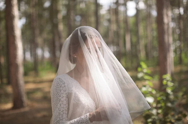 Jovem Noiva Feliz Concurso Dia Casamento Floresta Sol Véu — Fotografia de Stock