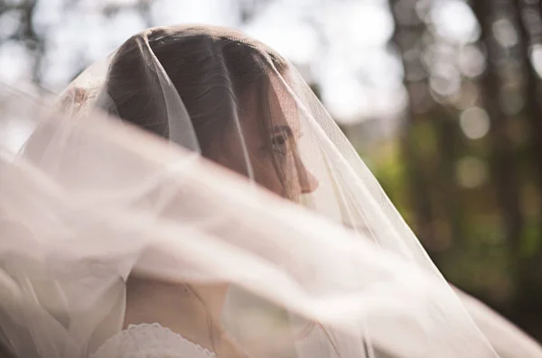 Нежная Молодая Счастливая Невеста Лесу День Свадьбы Солнце Вуали — стоковое фото
