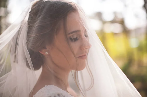 Tendre Jeune Mariée Heureuse Dans Forêt Jour Mariage Soleil Dans — Photo