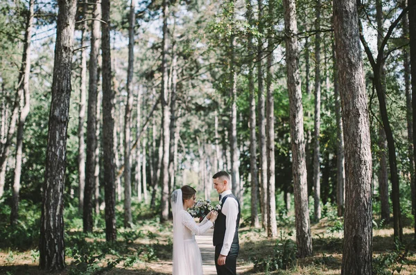 Pareja Elegante Tierna Amor Novia Novio Día Boda Paseo Por —  Fotos de Stock