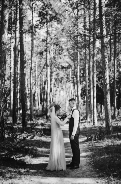 사랑에 세련되고 부드러운 신부와 숲에서 산책에 자신의 결혼식 — 스톡 사진