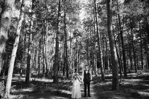 时尚和温柔的夫妇在爱 新娘和新郎 在他们的婚礼当天在树林里散步 笑和拥抱 — 图库照片