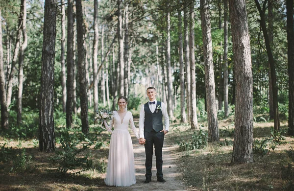 Par Elegante Terno Amor Noiva Noivo Seu Dia Casamento Passeio — Fotografia de Stock