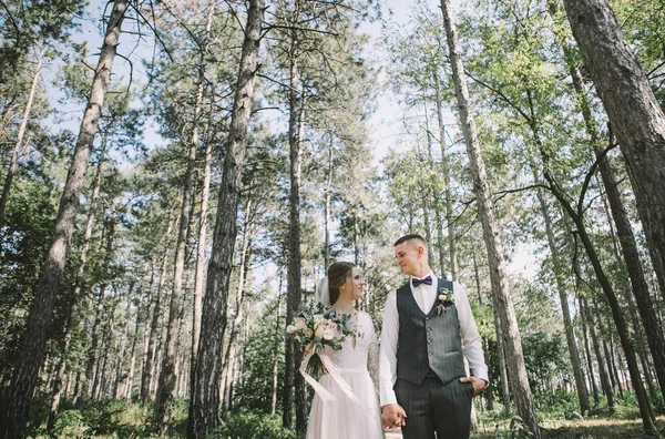 Par Elegante Terno Amor Noiva Noivo Seu Dia Casamento Passeio — Fotografia de Stock