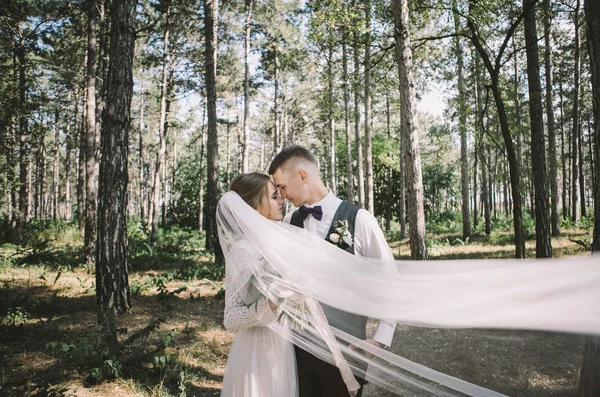 Par Elegante Terno Amor Noiva Noivo Seu Dia Casamento Passeio — Fotografia de Stock