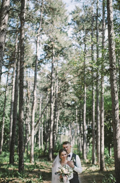 Par Elegante Terno Amor Noiva Noivo Seu Dia Casamento Passeio — Fotografia de Stock